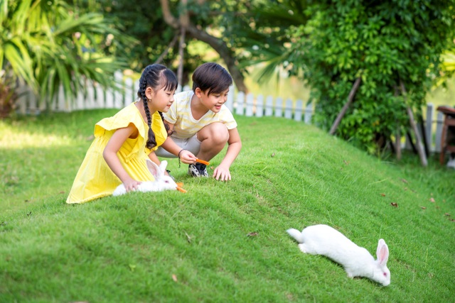 Xu hướng mua nhà nghỉ dưỡng thời Covid-19 thay đổi - 3 Xu hướng mua nhà nghỉ dưỡng thời Covid-19 thay đổi - 3