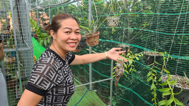 Nghệ nhân hoa lan Bạch Thị Trâm Anh chia sẻ cách chăm sóc cây con an toàn, hiệu quả - 2 Nghệ nhân hoa lan Bạch Thị Trâm Anh chia sẻ cách chăm sóc cây con an toàn, hiệu quả - 2