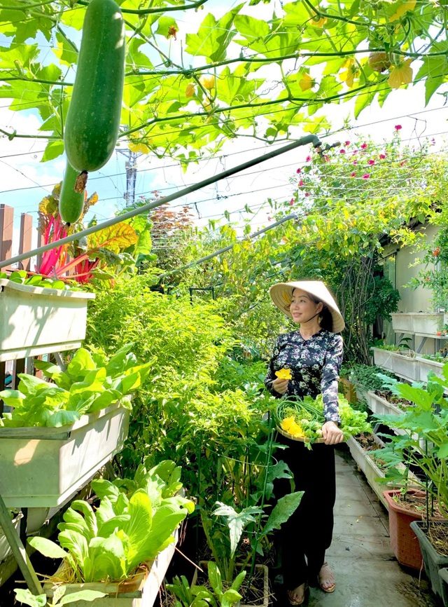 Khu vườn trên không trăm loại rau trái tươi tốt của mẹ đảm Sài Gòn - 12 Khu vườn trên không trăm loại rau trái tươi tốt của mẹ đảm Sài Gòn - 12