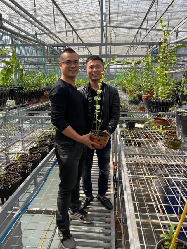 Tìm hiểu kinh nghiệm chăm sóc lan hoàng hậu cùng nghệ nhân Hoàng Hữu Trung - 3 Tìm hiểu kinh nghiệm chăm sóc lan hoàng hậu cùng nghệ nhân Hoàng Hữu Trung - 3