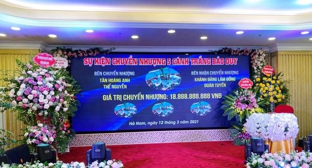 Bán Lan Bảo Duy: Hãy sắm cho mình một chậu Lan Bảo Duy để mang đến sự tươi mới và sự đẳng cấp cho tổ ấm của bạn. Xem qua các loại Lan Bảo Duy đẹp tuyệt với và chọn cho mình một chậu hoa đẹp để trang trí trong nhà.