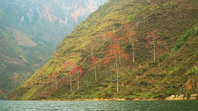 Choáng ngợp vẻ đẹp như tiên cảnh của sông Nho Quế Hà Giang mùa hoa gạo - 7