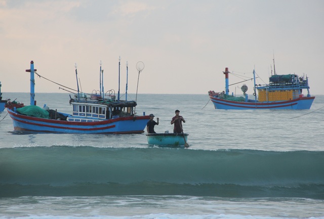 Phú Yên: Tất bật mưu sinh trong buổi sáng sớm ở làng chài ven biển - 2 Phú Yên: Tất bật mưu sinh trong buổi sáng sớm ở làng chài ven biển - 2