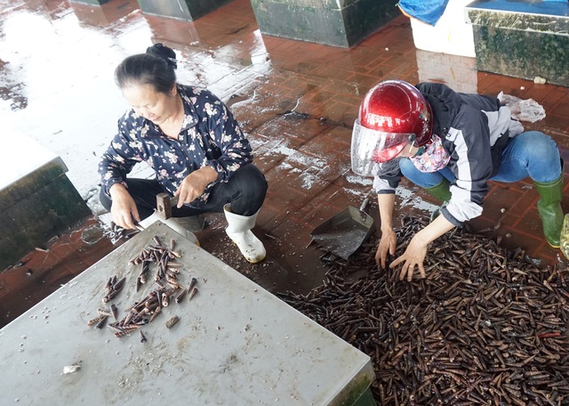Nhọc nhằn đập trôn ốc, người phụ nữ kiếm bạc lẻ mỗi ngày - 5 Nhọc nhằn đập trôn ốc, người phụ nữ kiếm bạc lẻ mỗi ngày - 5