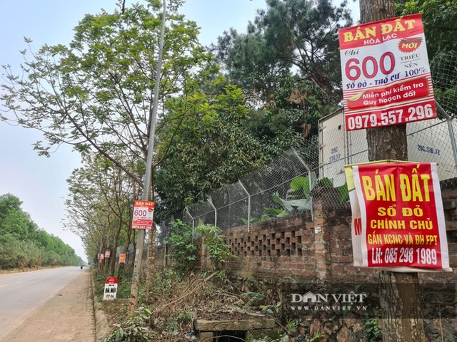 Giá đất vùng ven Hà Nội dựng đứng: Quán bán gà, vịt thành trung tâm tư vấn đất đai - 2 Giá đất vùng ven Hà Nội dựng đứng: Quán bán gà, vịt thành trung tâm tư vấn đất đai - 2