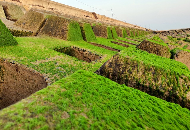 Visitors flock to check-in the most beautiful green moss rock in Phu Yen - 9