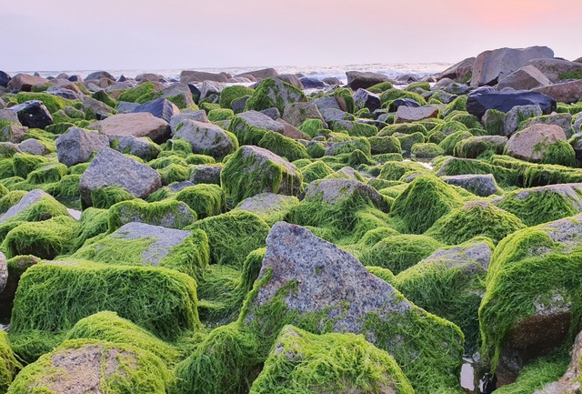 Visitors flock to check-in the most beautiful green moss rock in Phu Yen - 2