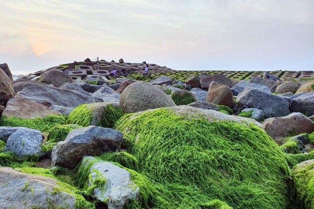 Visitors flock to check-in the most beautiful green moss rock in Phu Yen - 7