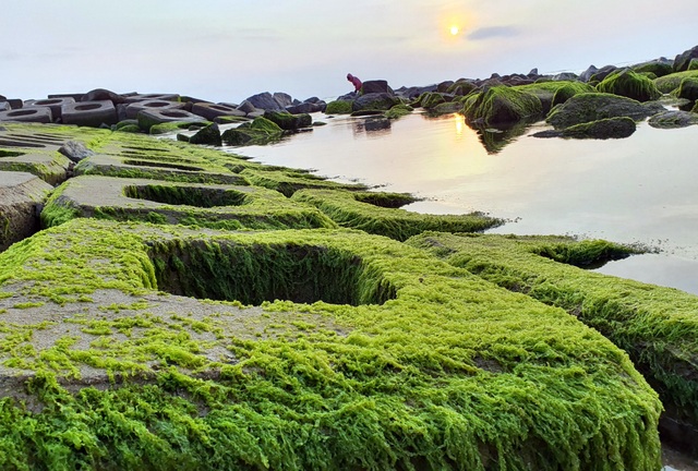 Du khách đổ xô check-in bãi đá rêu xanh đẹp nhất Phú Yên - 5