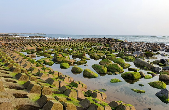 Du khách đổ xô check-in bãi đá rêu xanh đẹp nhất Phú Yên - 8