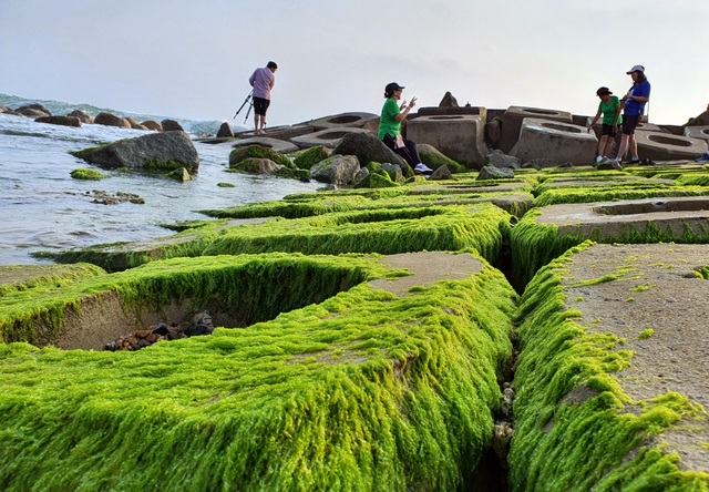 Du khách đổ xô check-in bãi đá rêu xanh đẹp nhất Phú Yên - 3