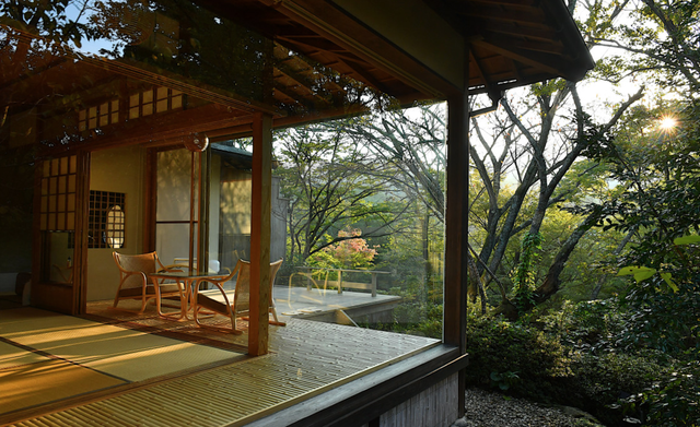Vì sao người Nhật thích đưa gỗ vào nhà? | Báo Dân trí