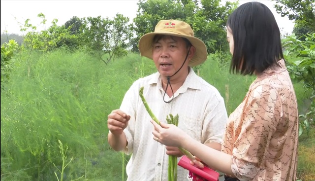 Ông Nguyễn Quang Trung - Giám đốc HTX nông nghiệp Tây Hiếu cho biết: Ông Nguyễn Quang Trung - Giám đốc HTX nông nghiệp Tây Hiếu cho biết: