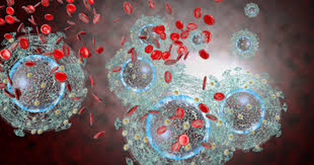 Điểm danh 6 loại virus gây ung thư - 1