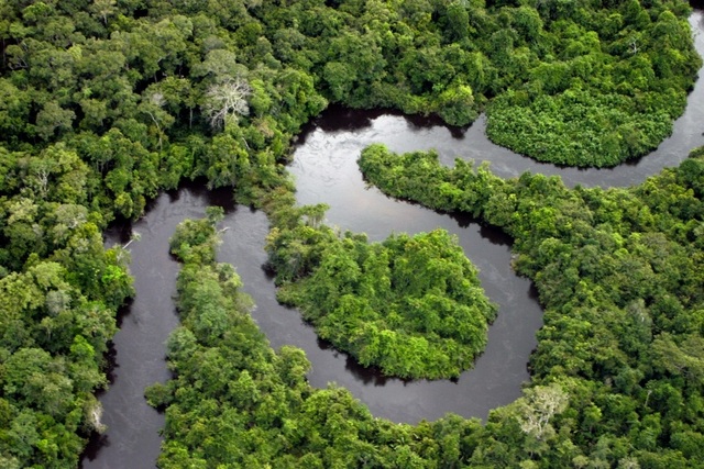 Rừng rậm Amazon Khám phá  giải mã những điều bí ẩn