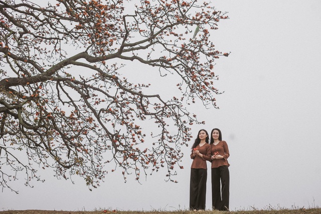 The unique old twin rice tree attracts visitors to check-in in Bac Giang - 8