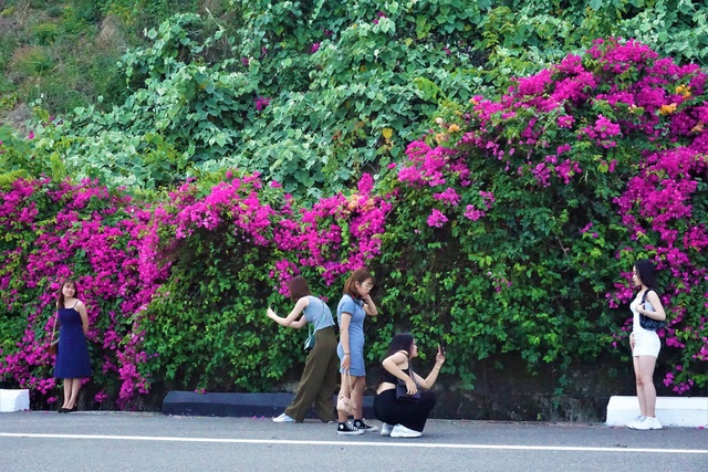 Fever with a picturesque confetti street in Da Nang - 1