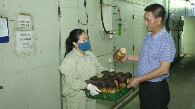 Bỏ ngang đại học đi trồng nấm, đại gia nông dân thu gần 40 tỷ đồng/năm - 3 Bỏ ngang đại học đi trồng nấm, đại gia nông dân thu gần 40 tỷ đồng/năm - 3
