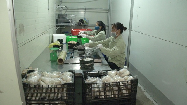Bỏ ngang đại học đi trồng nấm, đại gia nông dân thu gần 40 tỷ đồng/năm - 5 Bỏ ngang đại học đi trồng nấm, đại gia nông dân thu gần 40 tỷ đồng/năm - 5