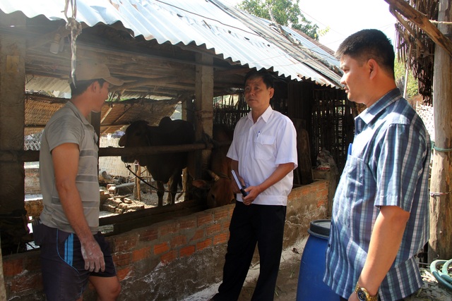Phú Yên: Gia súc ngã bệnh chết hàng loạt, cán bộ thú y nói chỉ vài con - 4 Phú Yên: Gia súc ngã bệnh chết hàng loạt, cán bộ thú y nói chỉ vài con - 4