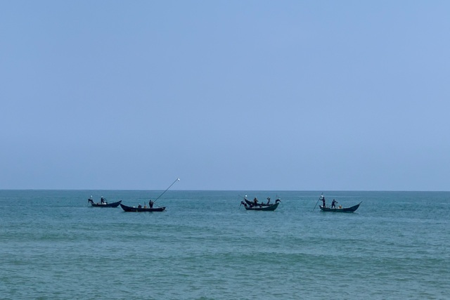 Bắt loài ốc óng ánh, ngư dân bỏ túi tiền triệu mỗi ngày - 1 Bắt loài ốc óng ánh, ngư dân bỏ túi tiền triệu mỗi ngày - 1