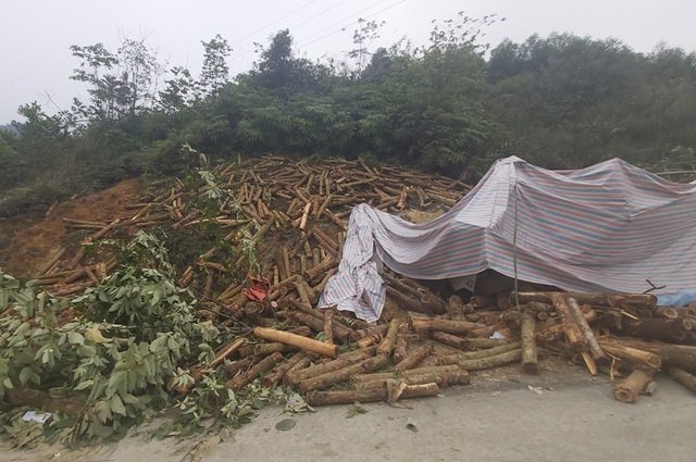 Tai nạn 7 người chết: Xe lao thẳng vào vách núi, cabin nát bét - 1 Tai nạn 7 người chết: Xe lao thẳng vào vách núi, cabin nát bét - 1