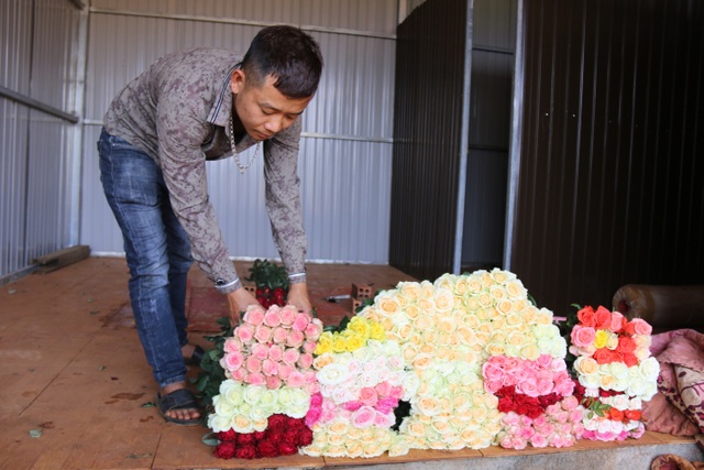 Bỏ việc ở Nhật, kỹ sư về quê trồng hoa thu đến 500 triệu đồng/tháng - 5