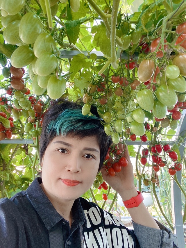 Khu vườn trên mây ở Quảng Nam: Cà chua, bí ngô lúc lỉu trên mái nhà - 3 Khu vườn trên mây ở Quảng Nam: Cà chua, bí ngô lúc lỉu trên mái nhà - 3