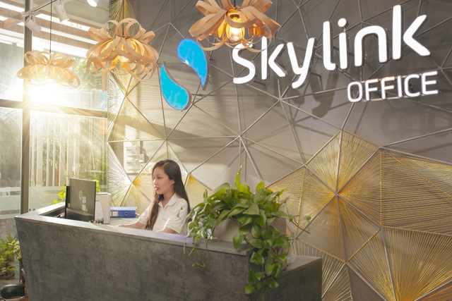 Skylink Group: Gã tân binh với nhiều lợi thế - 1 Skylink Group: Gã tân binh với nhiều lợi thế - 1