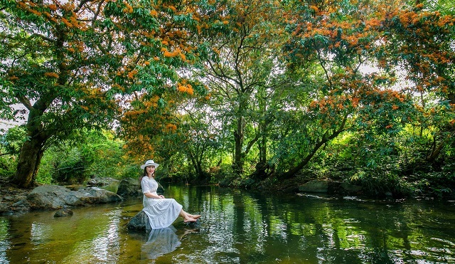 Thousands of snake dragons watch special flowers growing along streams in Binh Dinh - 3