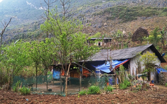 Chuyện tảo hôn, mới lên lớp 8 đã phải bỏ học để làm mẹ - 1 Chuyện tảo hôn, mới lên lớp 8 đã phải bỏ học để làm mẹ - 1