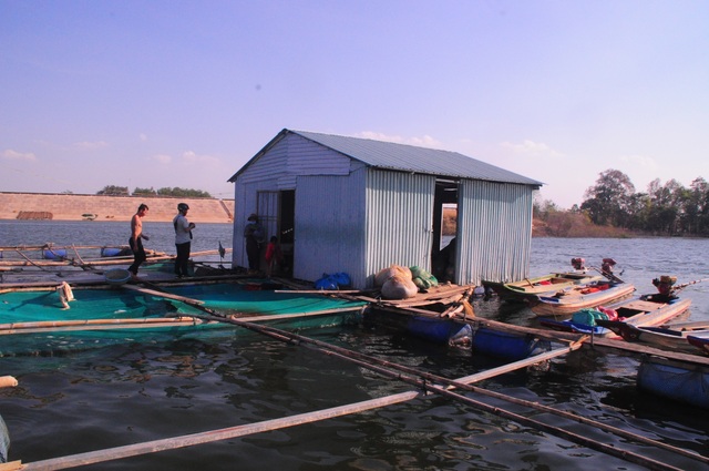 Chông chênh cuộc sống mưu sinh ở lòng hồ thủy lợi - 7 Chông chênh cuộc sống mưu sinh ở lòng hồ thủy lợi - 7