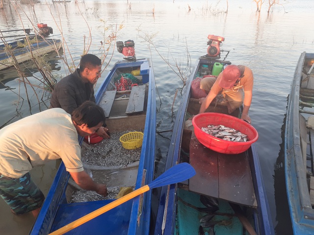 Chông chênh cuộc sống mưu sinh ở lòng hồ thủy lợi - 2 Chông chênh cuộc sống mưu sinh ở lòng hồ thủy lợi - 2