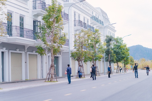 Cẩm Phả: Hàng loạt siêu dự án ra mắt, BĐS vùng phụ trợ tăng nhiệt - 3 Cẩm Phả: Hàng loạt siêu dự án ra mắt, BĐS vùng phụ trợ tăng nhiệt - 3