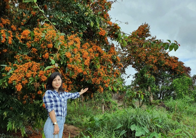 Ancient forest flowers bloom brilliantly in what is considered to be 