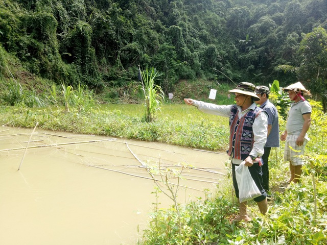 Hiệu quả tín dụng đối với hộ nghèo ở vùng biên Quảng Nam - 3 Hiệu quả tín dụng đối với hộ nghèo ở vùng biên Quảng Nam - 3