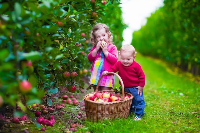 Trang trại Bellamys Organic thuộc nhóm 1% nông trại trên thế giới đạt chuẩn organic - 2 Trang trại Bellamys Organic thuộc nhóm 1% nông trại trên thế giới đạt chuẩn organic - 2