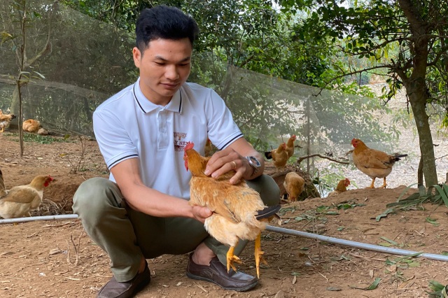 Vượt Kho Từ Giống Ga Ri Bản địa Chang Trai 9x Kiếm Gần 2 Tỷ đồng Mỗi Năm Bao Dan Tri Vượt Kho Từ Giống Ga Ri Bản địa Chang Trai 9x Kiếm Gần 2 Tỷ đồng Mỗi Năm Bao Dan Tri