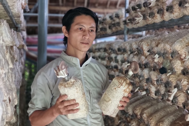Cựu hướng dẫn viên du lịch chuyển nghề trồng nấm, thu về 400 triệu đồng/năm - 4 Cựu hướng dẫn viên du lịch chuyển nghề trồng nấm, thu về 400 triệu đồng/năm - 4