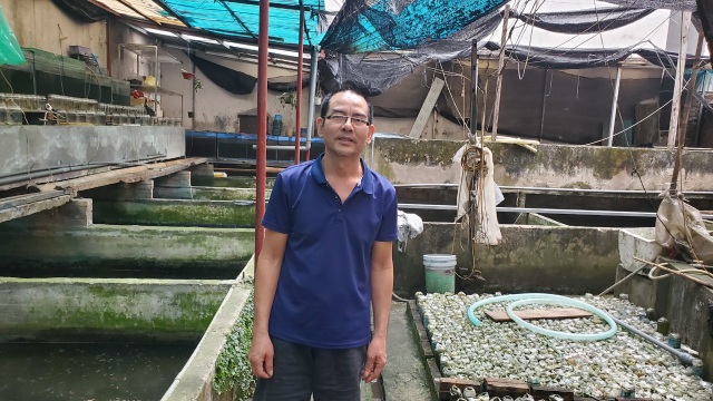 Hà Nội: Lão nông 55 tuổi đam mê cá chọi, thu hàng trăm triệu đồng/năm - 1 Hà Nội: Lão nông 55 tuổi đam mê cá chọi, thu hàng trăm triệu đồng/năm - 1