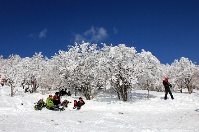 Về cố đô Nara hòa mình vào lễ hội leo núi mùa đông - 4