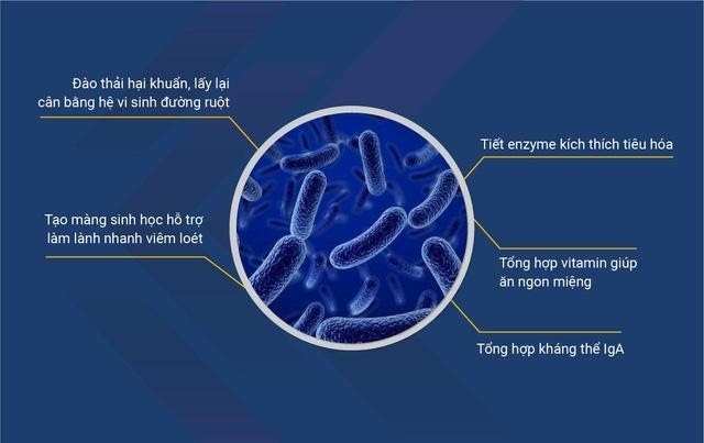 Men vi sinh LiveSpo Colon - Giải pháp hỗ trợ giảm triệu chứng viêm đại tràng - 2 Men vi sinh LiveSpo Colon - Giải pháp hỗ trợ giảm triệu chứng viêm đại tràng - 2
