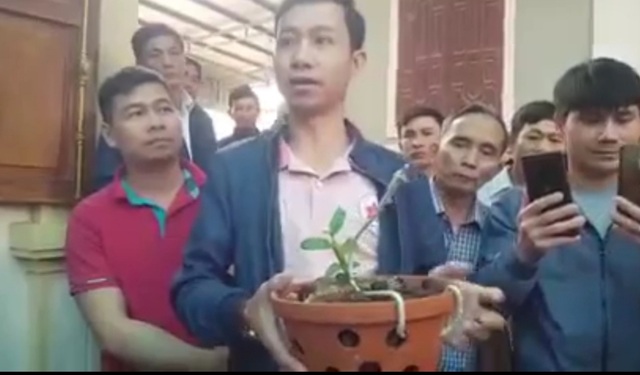 Xôn xao thông tin cây lan hồng bồng lai 7cm giá hơn 1,6 tỷ đồng - 1 Xôn xao thông tin cây lan hồng bồng lai 7cm giá hơn 1,6 tỷ đồng - 1