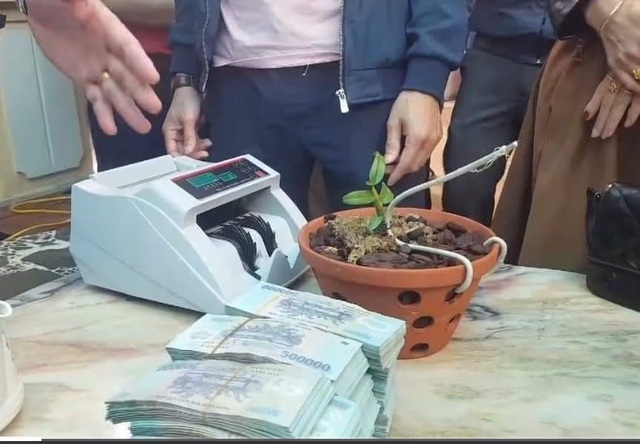 Xôn xao thông tin cây lan hồng bồng lai 7cm giá hơn 1,6 tỷ đồng - 2 Xôn xao thông tin cây lan hồng bồng lai 7cm giá hơn 1,6 tỷ đồng - 2