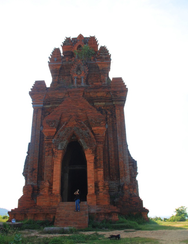 Unique thousand-year-old Cham towers cluster in Binh Dinh attracts check-in guests - 4