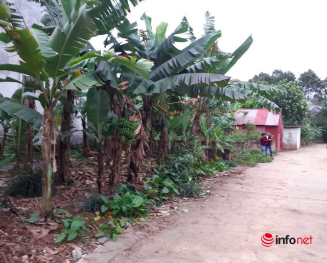 Giá đất Hà Nội dù lên đồng, ít giao dịch sớm muộn cũng sẽ tụt dốc - 2 Giá đất Hà Nội dù lên đồng, ít giao dịch sớm muộn cũng sẽ tụt dốc - 2