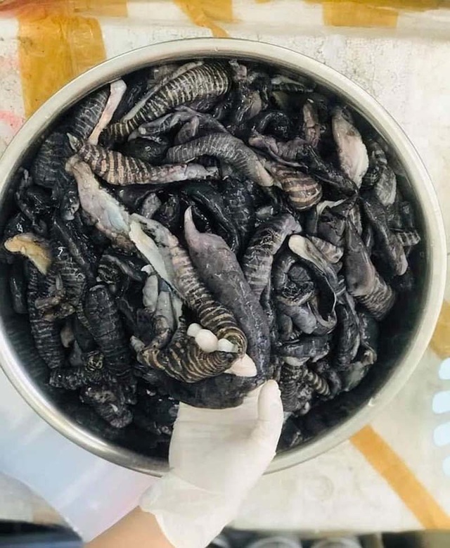 Loại nấm lạ mới xuất hiện, rầm rộ mua ăn, dân buôn bán vài tạ/ngày - 3 Loại nấm lạ mới xuất hiện, rầm rộ mua ăn, dân buôn bán vài tạ/ngày - 3