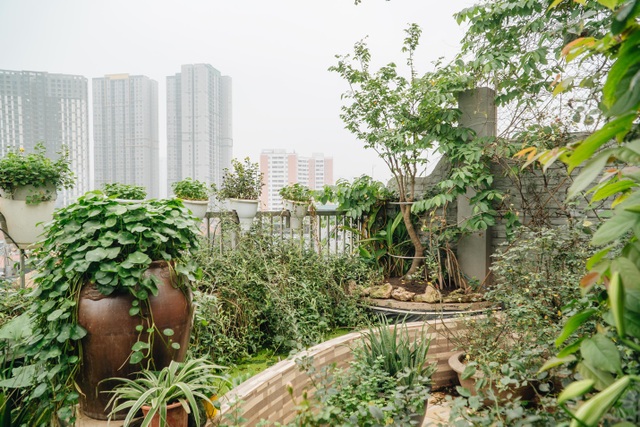 Vườn treo rộng 200m2 ngập sắc hoa loa kèn giữa lòng Hà Nội - 8 Vườn treo rộng 200m2 ngập sắc hoa loa kèn giữa lòng Hà Nội - 8
