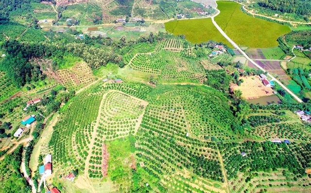 Huyện miền núi biên giới đầu tiên trên cả nước đạt chuẩn nông thôn mới - 3 Huyện miền núi biên giới đầu tiên trên cả nước đạt chuẩn nông thôn mới - 3