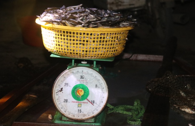 Đã mắt những mẻ vó đèn, mỗi lần kéo gần cả tấn cá - 11 Đã mắt những mẻ vó đèn, mỗi lần kéo gần cả tấn cá - 11